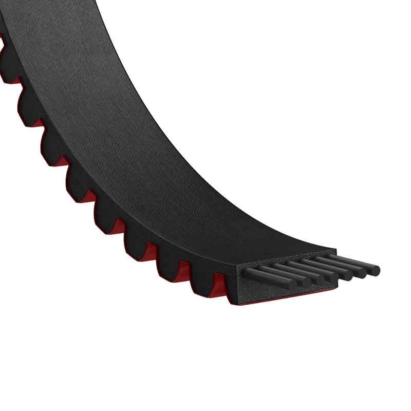 Courroie dentée Optibelt Delta chain carbon 8008MDC36 123 Courroies