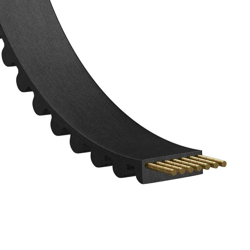 Vue en coupe d’une courroie dentée 225-3M6, montrant les dents et les câbles de renfort internes pour une transmission de puissance optimale.